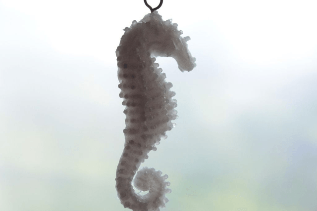 Hippocampe Majestueux - Flexible (Personnalisable)