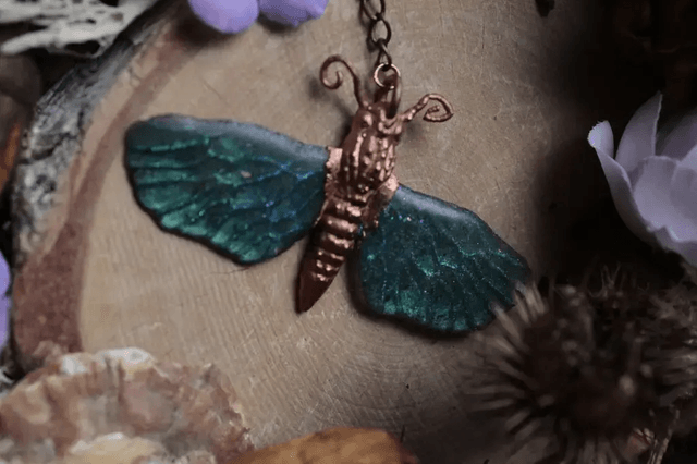 Papillon rougeoyant