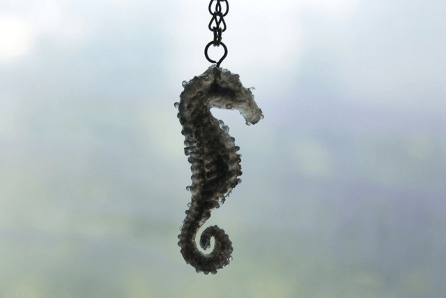 Hippocampe Majestueux - Flexible (Personnalisable)