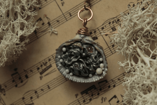 Coquillage Métamorphe- n°4