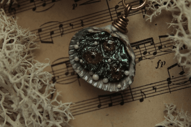Coquillage Métamorphe- n°18