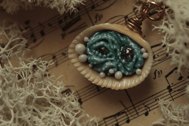 Coquillage Métamorphe- n°6
