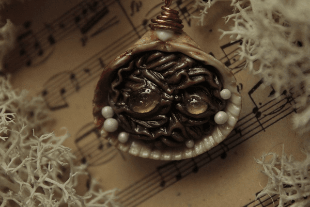 Coquillage Métamorphe- n°8
